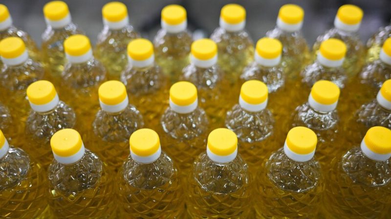 ارتفاع عالمي.. أسعار زيت عباد الشمس تسجل أعلى مستوى منذ 2022