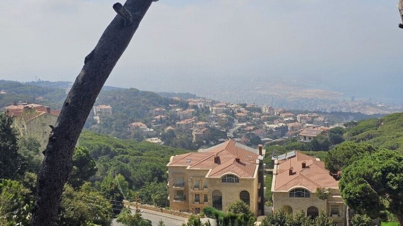 الأمن اللبناني يكشف هويّة إسرائيليين دخلا البلاد بجوازات غير إسرائيلية