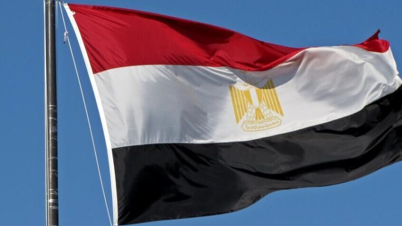 مصر.. طرد 5 مقيمين بقرارات وزارية عاجلة