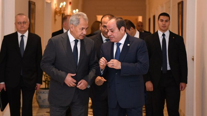 “أحد المقربين من بوتين يزور مصر”.. خبراء يعلقون لـRT على لقاء شويغو والسيسي