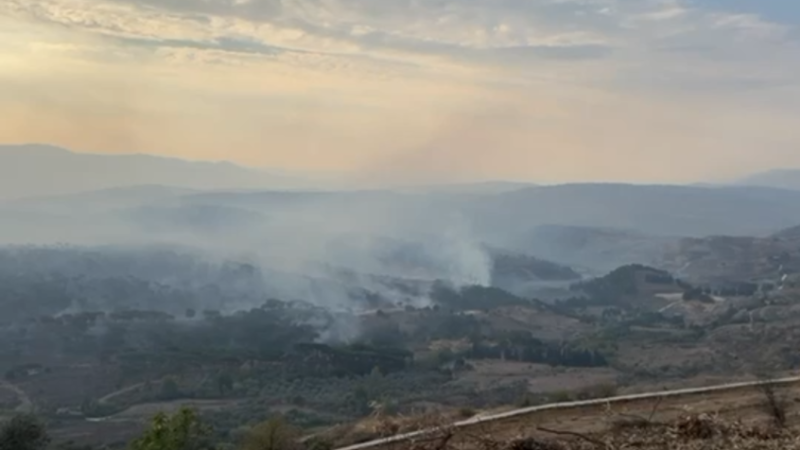 اشتعال حرائق في أحراج جنوب لبنان جراء القصف الإسرائيلي (فيديو)
