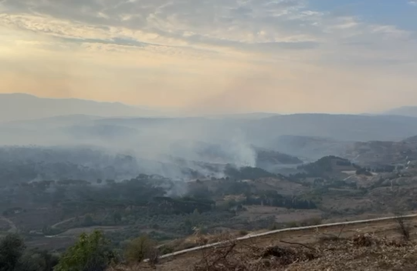 اشتعال حرائق في أحراج جنوب لبنان جراء القصف الإسرائيلي (فيديو)