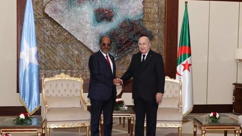 الجزائر والصومال تبرمان شراكة استراتيجية بتوقيع 6 اتفاقات ومذكرات تفاهم