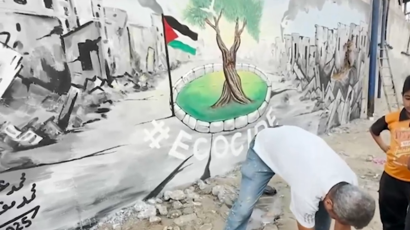 نشطاء من غزة يرسمون جدارية تندد بالإبادة البيئية وتوجه رسالة إلى مؤتمر المناخ في البرازيل (فيديو)