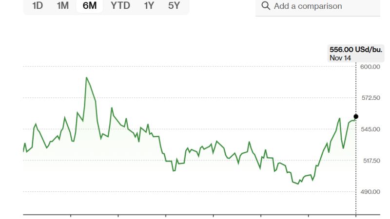 ارتفاع أسعار القمح إلى أعلى مستوى في أكثر من 4 أشهر بسبب هجمات أوكرانية على منشآت مدنية