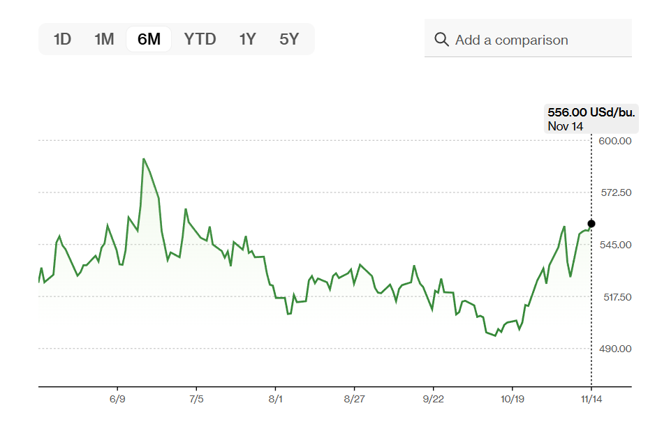 ارتفاع أسعار القمح إلى أعلى مستوى في أكثر من 4 أشهر بسبب هجمات أوكرانية على منشآت مدنية