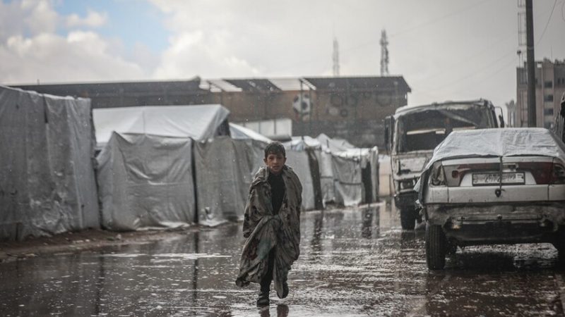 الصحة العالمية تحذر: أكثر من 900 وفاة في غزة بسبب تأخر الإجلاء الطبي