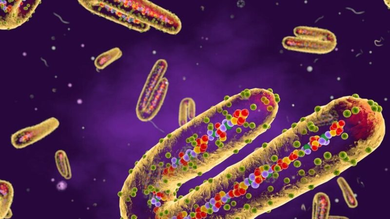 إثيوبيا تعلن تفشي وباء “ماربورغ” جنوب البلاد