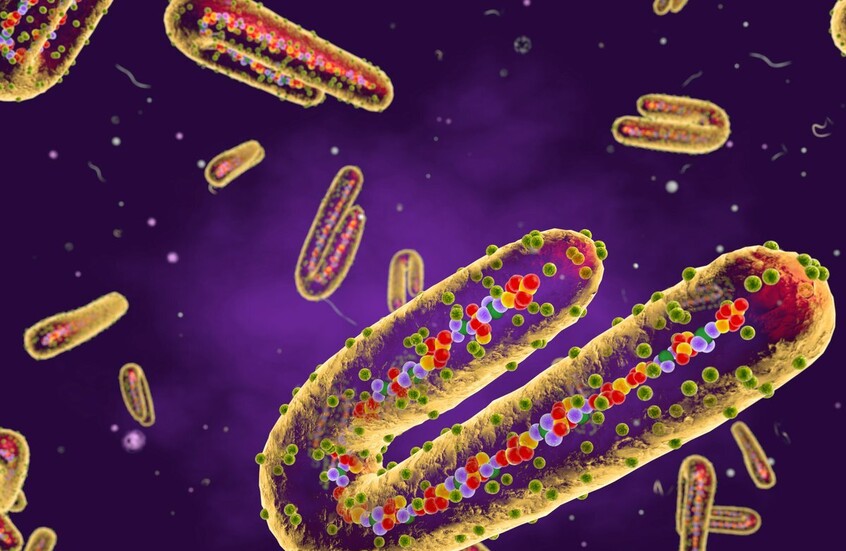 إثيوبيا تعلن تفشي وباء “ماربورغ” جنوب البلاد