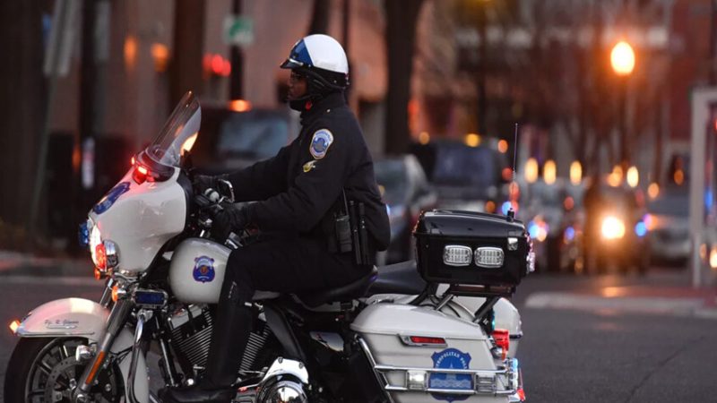 كولومبيا تضبط أكثر من 3 طن كوكايين معدة للتهريب إلى أمريكا الشمالية (فيديو)