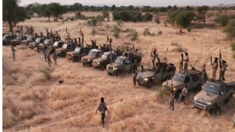 الخارجية السودانية: قمة دول البحيرات العظمى أيدت توصية بتصنيف الدعم السريع “منظمة إرهابية”