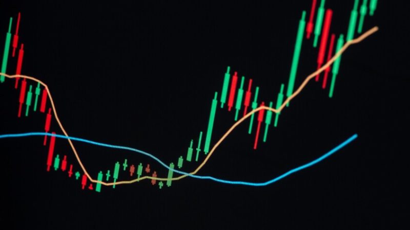 الإمارات.. الشيخ منصور بن زايد آل نهيان يجري أول معاملة دفع رقمية مباشرة عابرة للحدود