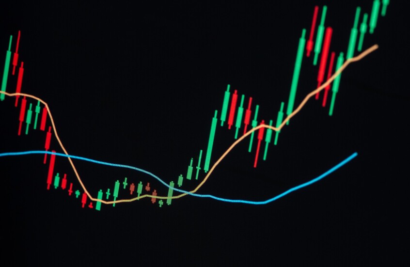 الإمارات.. الشيخ منصور بن زايد آل نهيان يجري أول معاملة دفع رقمية مباشرة عابرة للحدود