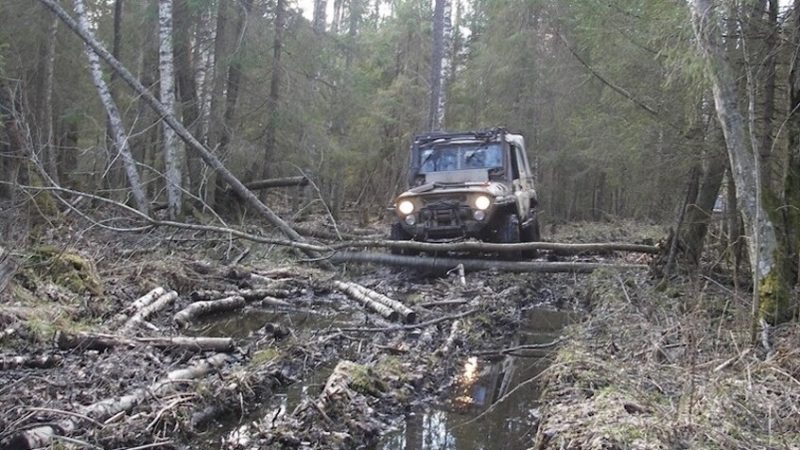 فنلندا تدرس إمكانية استخدام المستنقعات على حدودها مع روسيا لتكون حاجزا دفاعيا أمام أي “هجوم محتمل”