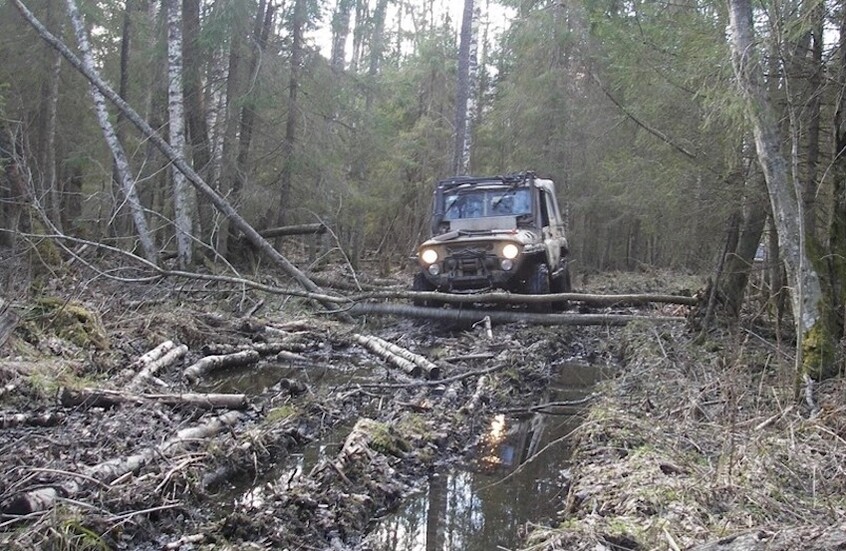 فنلندا تدرس إمكانية استخدام المستنقعات على حدودها مع روسيا لتكون حاجزا دفاعيا أمام أي “هجوم محتمل”