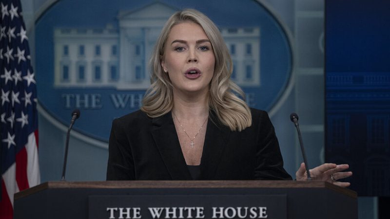 البيت الأبيض يبرر وصف ترامب مراسلة صحفية بـ”الخنزيرة” (فيديو)