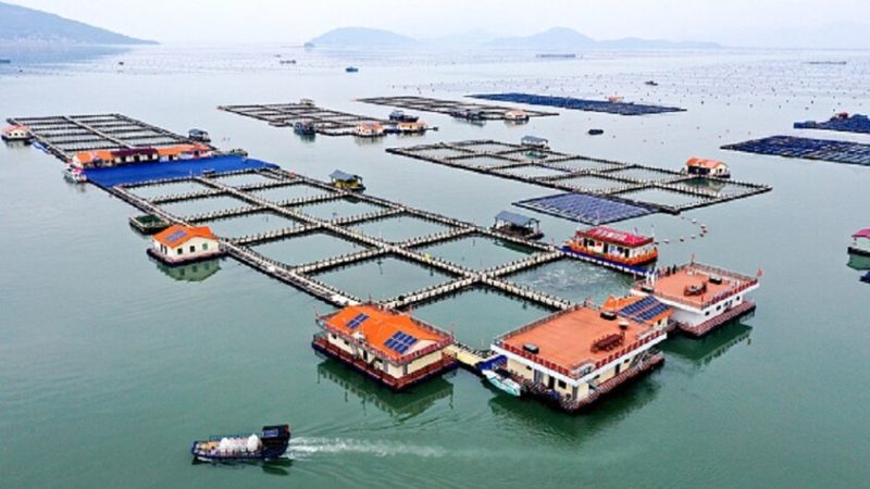 خبير اقتصادي عراقي يتحدث عن عرض ضخم قدمته الصين للعراق