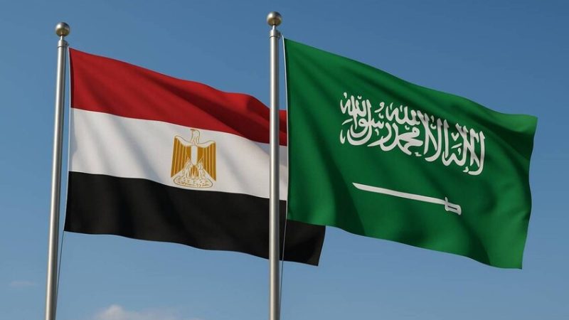 مصر تستورد من السعودية بمليارات الدولارات