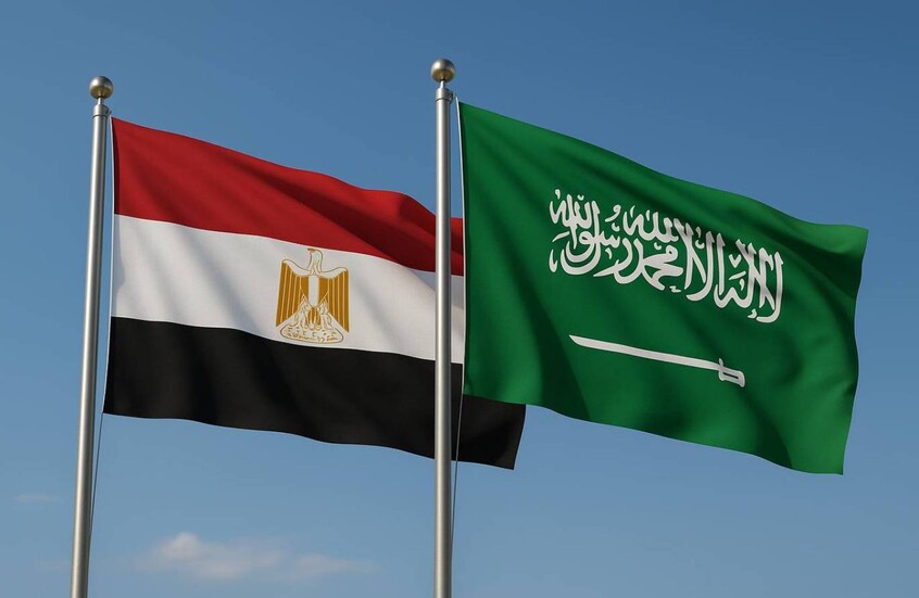 مصر تستورد من السعودية بمليارات الدولارات