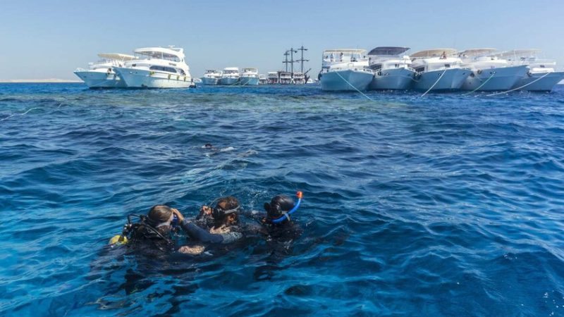 نجاة سياح من حادث غرق محقق في مصر