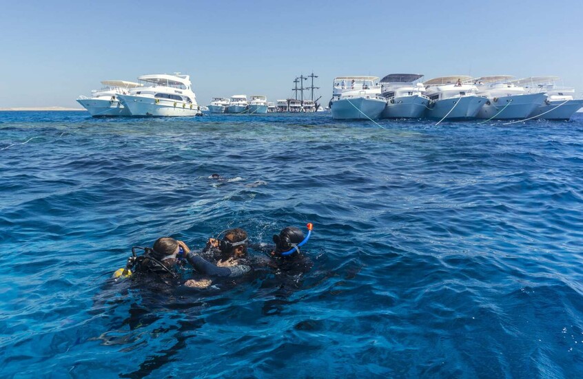 نجاة سياح من حادث غرق محقق في مصر