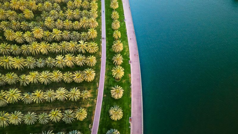 الإمارات.. تشريع صارم ضد المتاجرين بالحياة الفطرية والأنواع الحيوانية والنباتية المهددة بالإنقراض