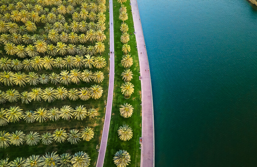 الإمارات.. تشريع صارم ضد المتاجرين بالحياة الفطرية والأنواع الحيوانية والنباتية المهددة بالإنقراض