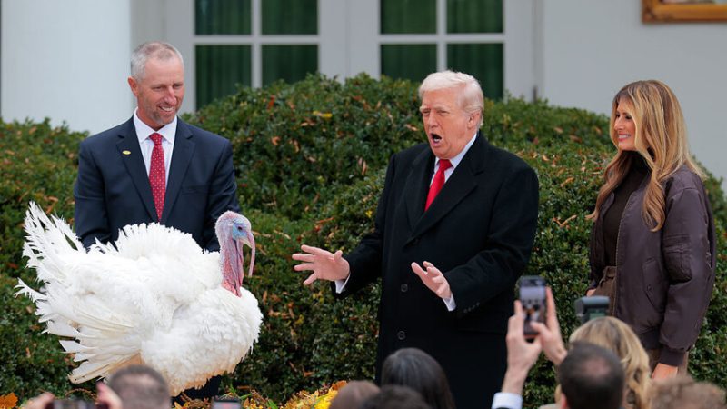 ترامب ممازحا: بعض الموظفين أرادوا إرسال ديكي عيد الشكر إلى سجن في السلفادور (فيديو)