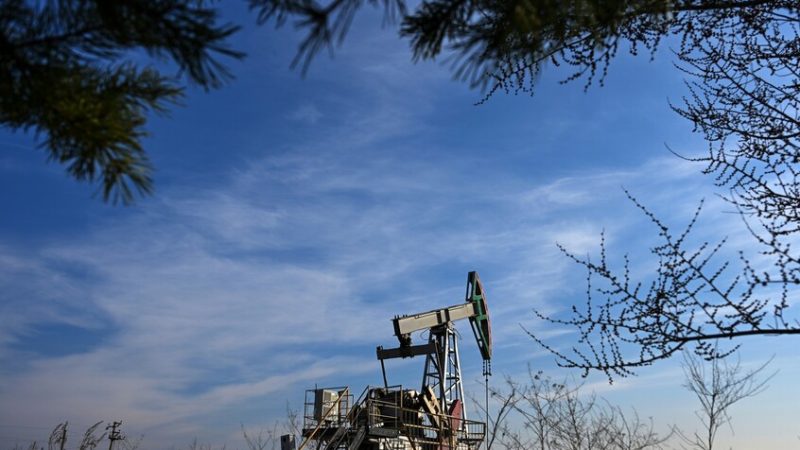 روسيا تسجل أكثر من 200 مكمن جديد للموارد الباطنية منذ بداية العام