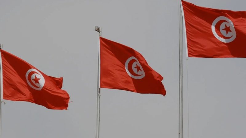 بعد سفير الاتحاد الأوروبي.. تونس توجه احتجاجا شديد اللهجة لسفيرة هولندا