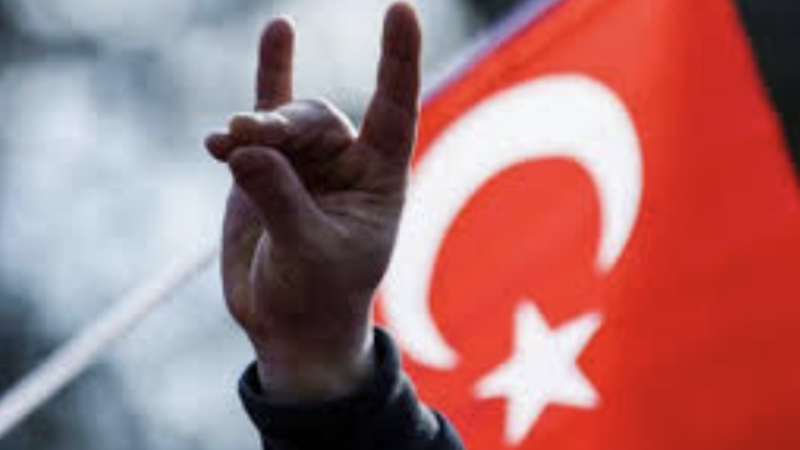 تركيا.. “الذئاب الرمادية” تنتقد التصالح مع حزب العمال الكردستاني وتهاجم أوجلان