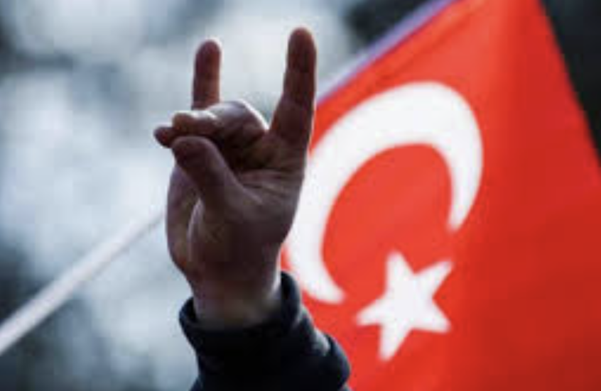 تركيا.. “الذئاب الرمادية” تنتقد التصالح مع حزب العمال الكردستاني وتهاجم أوجلان