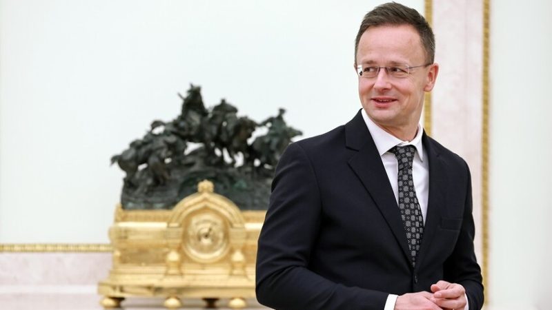 وزير الخارجية الهنغاري يساعد مترجمة أوربان أثناء المحادثات في الكرملين (فيديو)