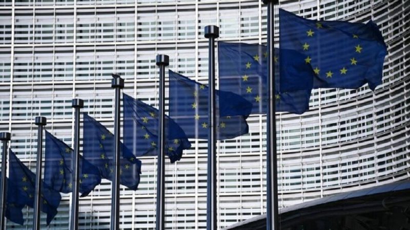 الخارجية البلجيكية: دول الاتحاد الأوروبي لا ترغب في تقاسم مخاطر استخدام الأصول الروسية