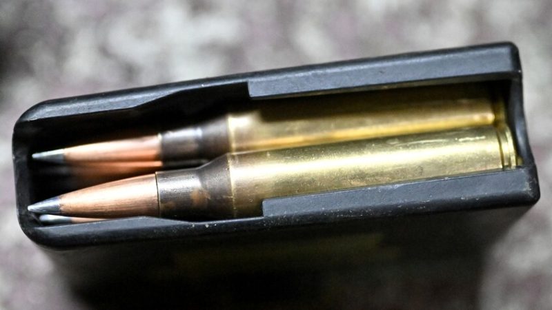 فضيحة مدوية.. سرقة 20 ألف طلقة مخصصة للجيش الألماني في حادثة مريبة