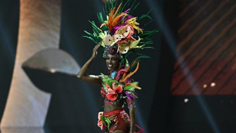 ملكة جمال الكون تغادر العناية المركزة..الكشف عن الحالة الصحية لغابرييل هنري بعد سقوطها المروع