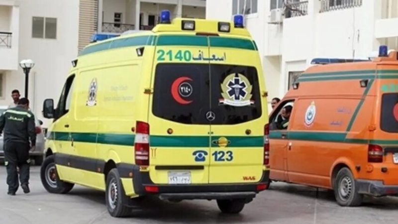 مصر تفقد أشهر سيدات الأعمال