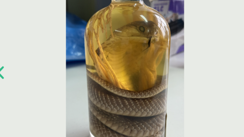 الجمارك الروسية تضبط امرأة تحمل “نبيذ الأفعى”!