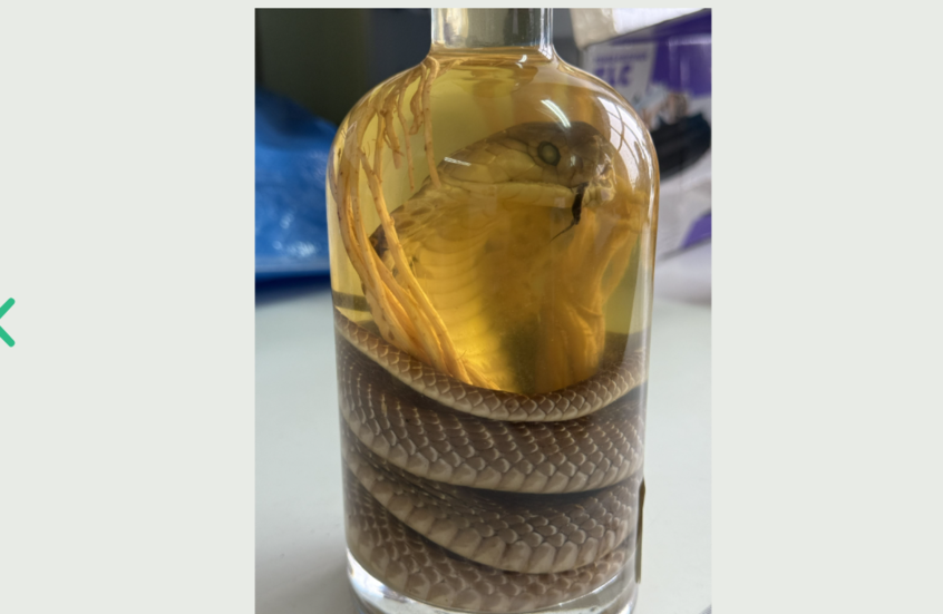 الجمارك الروسية تضبط امرأة تحمل “نبيذ الأفعى”!