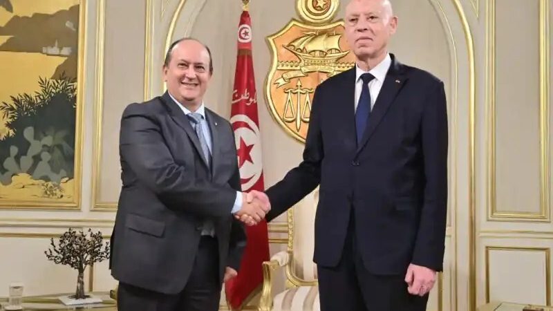 عشية انعقاد اللجنة المشتركة بين البلدين.. قيس سعيّد يستقبل رئيس الحكومة الجزائرية