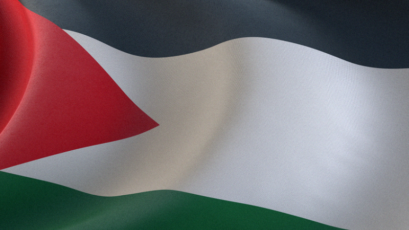 بدء سريان اتفاق الإلغاء المتبادل للتأشيرات بين روسيا والأردن