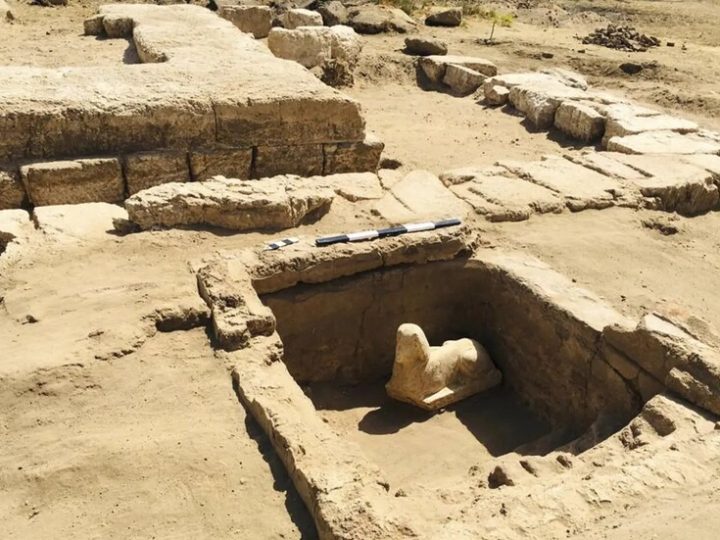 زاهي حواس يرد على وسيم السيسي: لا يوجد وادي ملوك ثان وبردية الفاتيكان اخترعها ساحر مصري