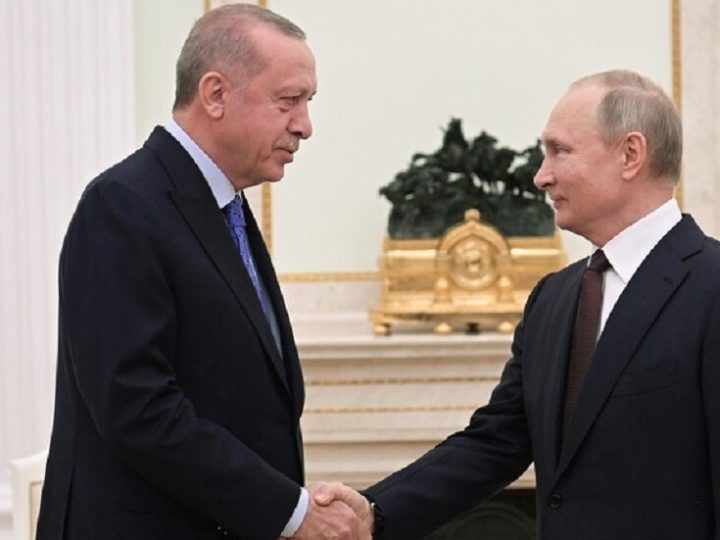 خبير تركي: لقاء بوتين وأردوغان مؤخرا رسالة إلى العالم حول التسوية في أوكرانيا