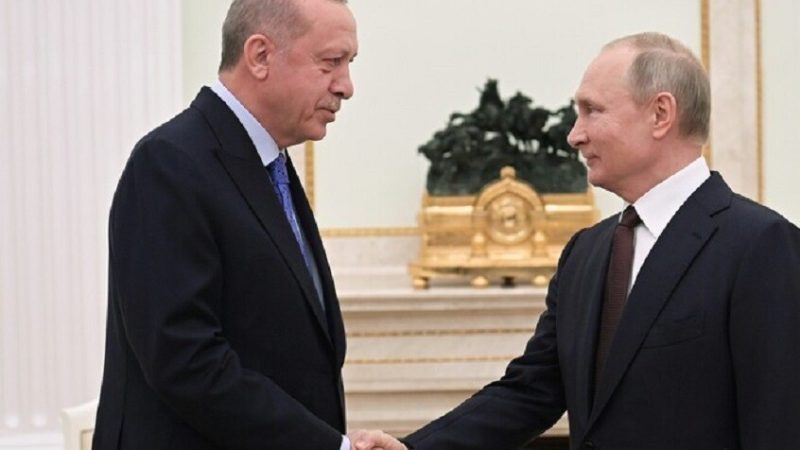 خبير تركي: لقاء بوتين وأردوغان مؤخرا رسالة إلى العالم حول التسوية في أوكرانيا