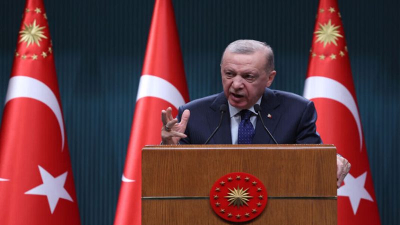 أردوغان: تصرفات إسرائيل داخل الحدود السورية هي أكبر معوق لتحقيق السلام
