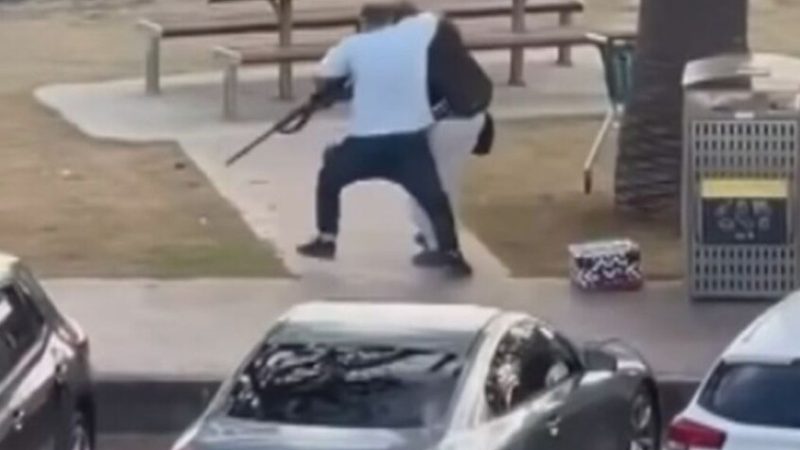 بعد أحمد الأحمد.. بطل جديد يظهر في “هجوم سيدني”