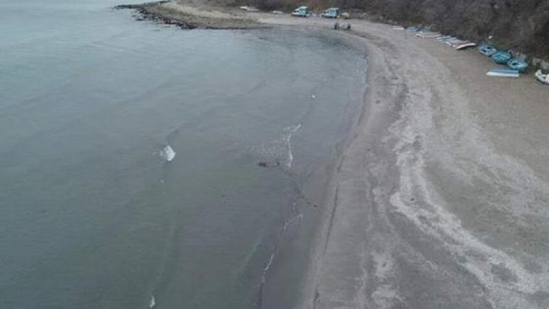 ظاهرة تثر قلق السكان.. ماذا يحدث لبحر مرمرة؟