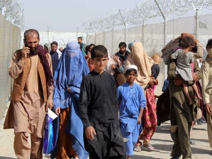 ألمانيا تعتزم استقدام 535 أفغانيا حتى نهاية العام