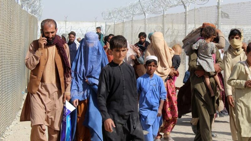 ألمانيا تعتزم استقدام 535 أفغانيا حتى نهاية العام