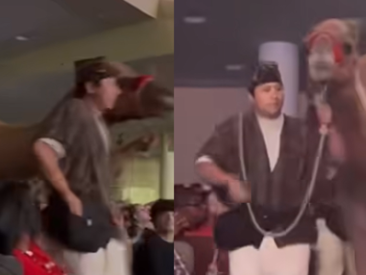 فيديو صادم يظهر جملا يركل امرأة في وجهها ويفقدها وعيها خلال احتفال بعيد الميلاد (فيديو)